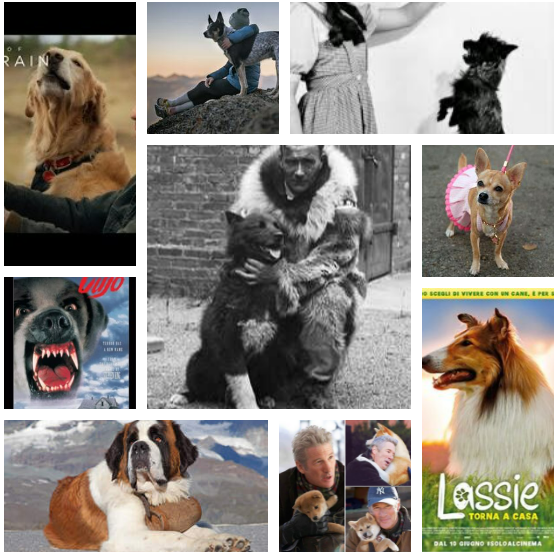 I 15 cani più famosi del cinema: gli ...