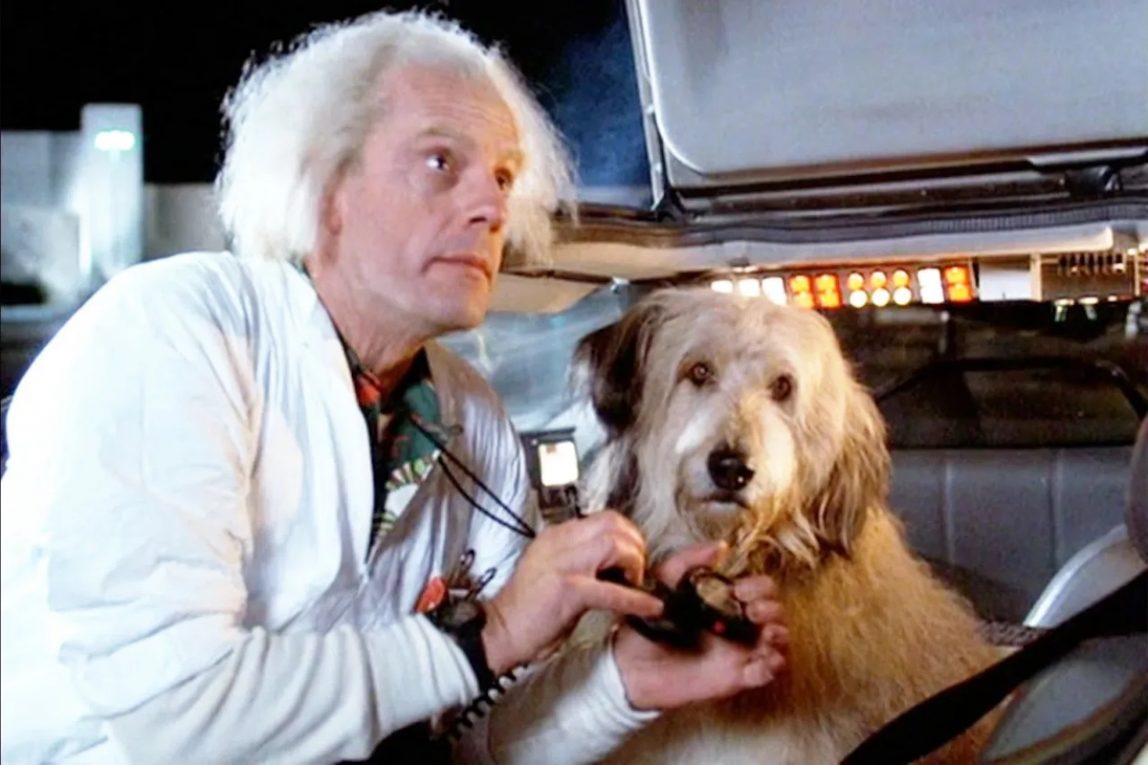 I migliori cani nella storia del cinema