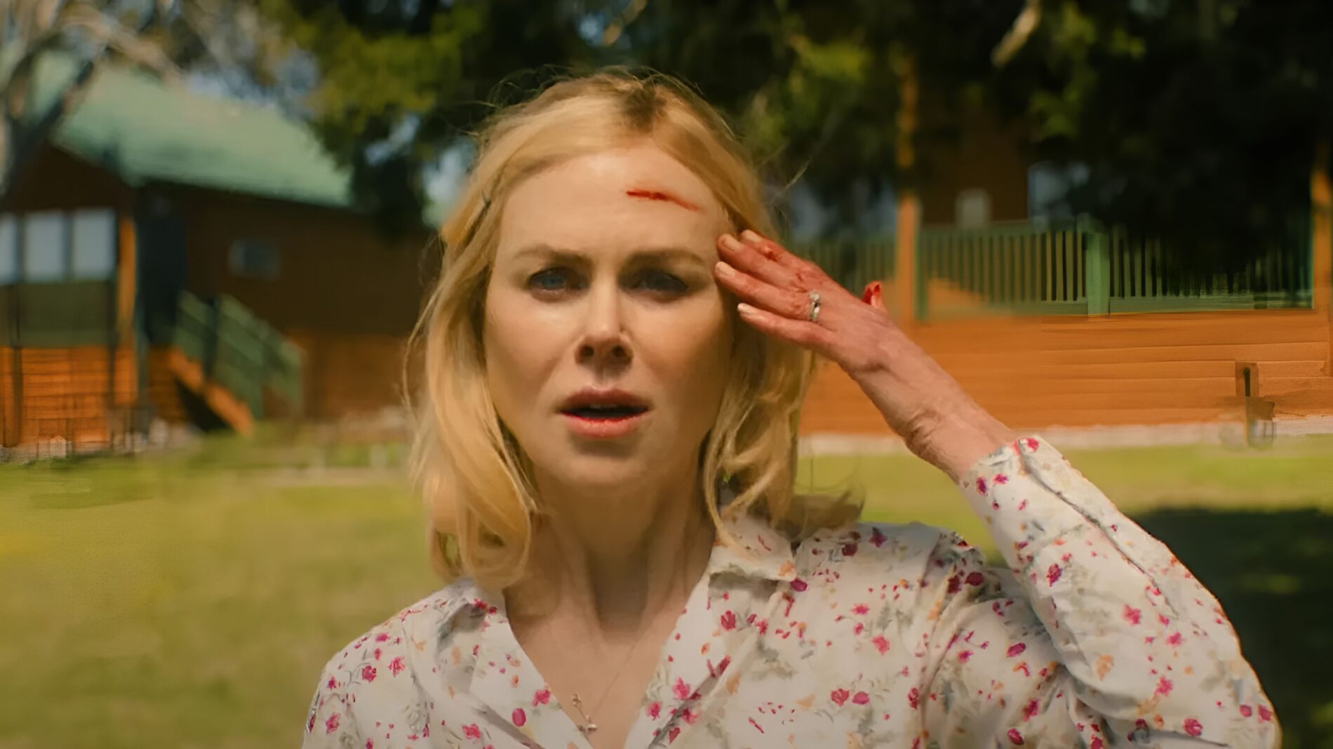 Holland: spiegazione del finale del film con Nicole Kidman