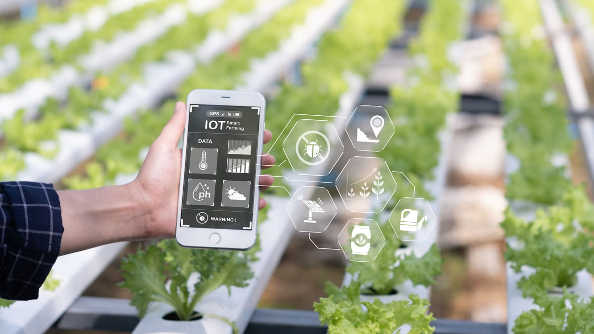 Tecnologia e innovazione nell'agricoltura