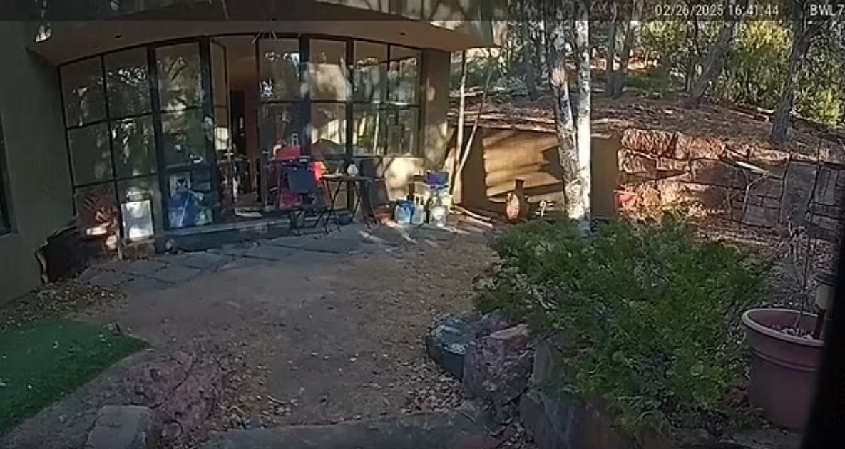 villa da 4 milioni infestata dai topi ...