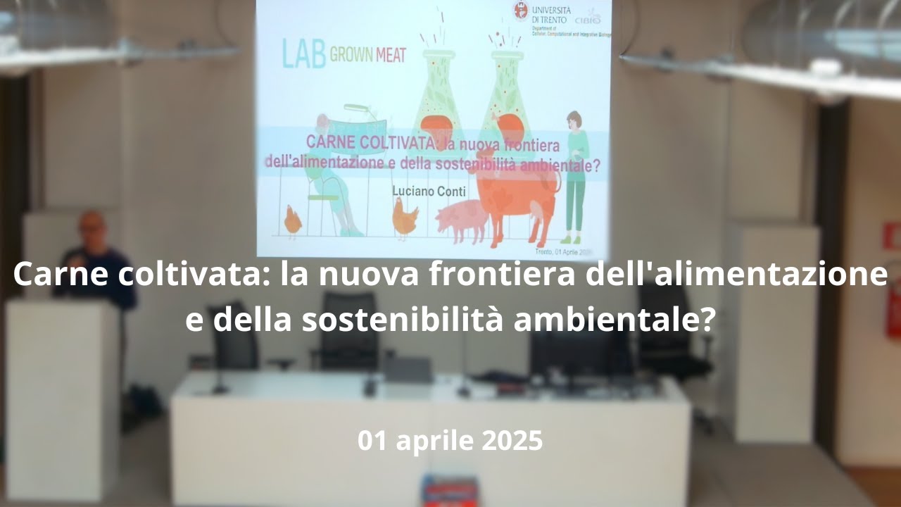 Carne coltivata: la nuova frontiera della sostenibilità